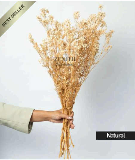 Dried Flowers