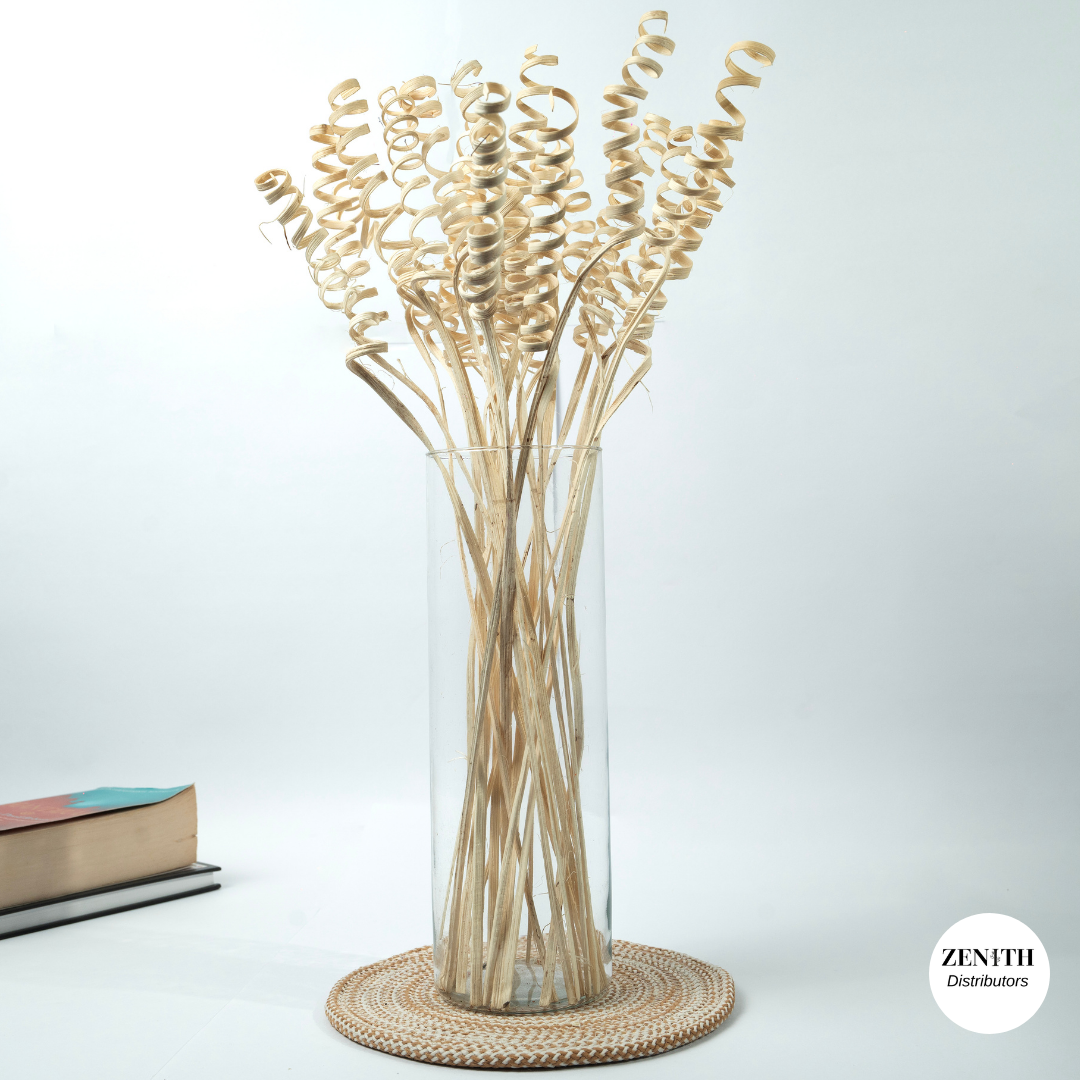 Cane Spring | Set of 20 Sticks