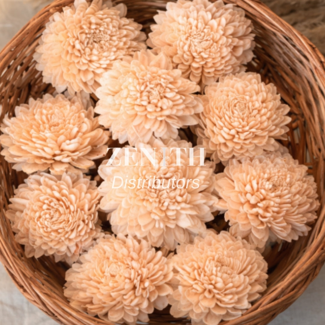 Ziniya | Pack of 100 Pcs