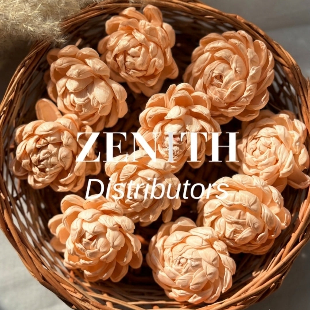 Twisted | Pack of 100 Pcs