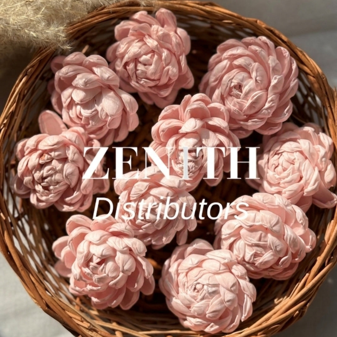 Twisted | Pack of 100 Pcs
