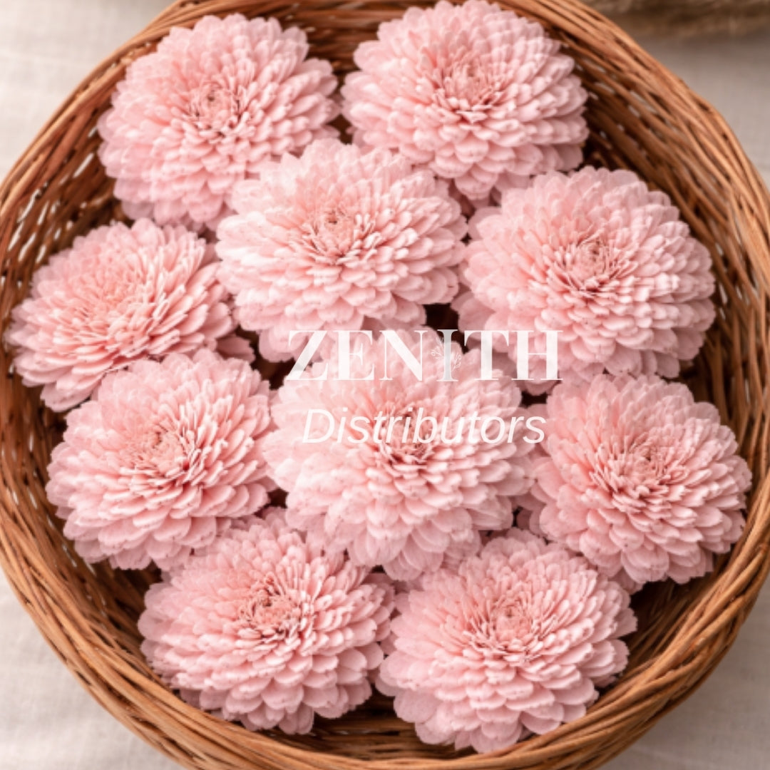 Ziniya | Pack of 100 Pcs