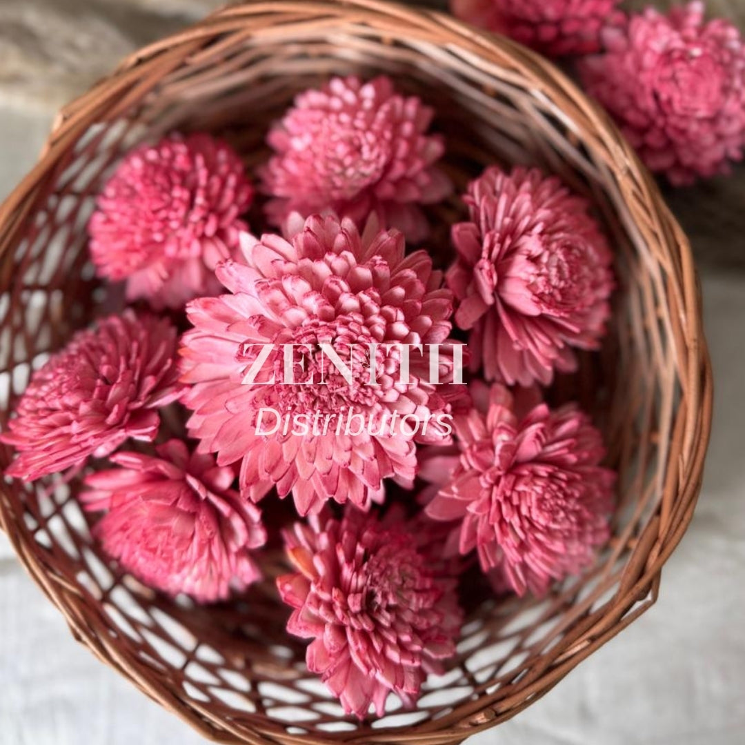 Ziniya | Pack of 100 Pcs