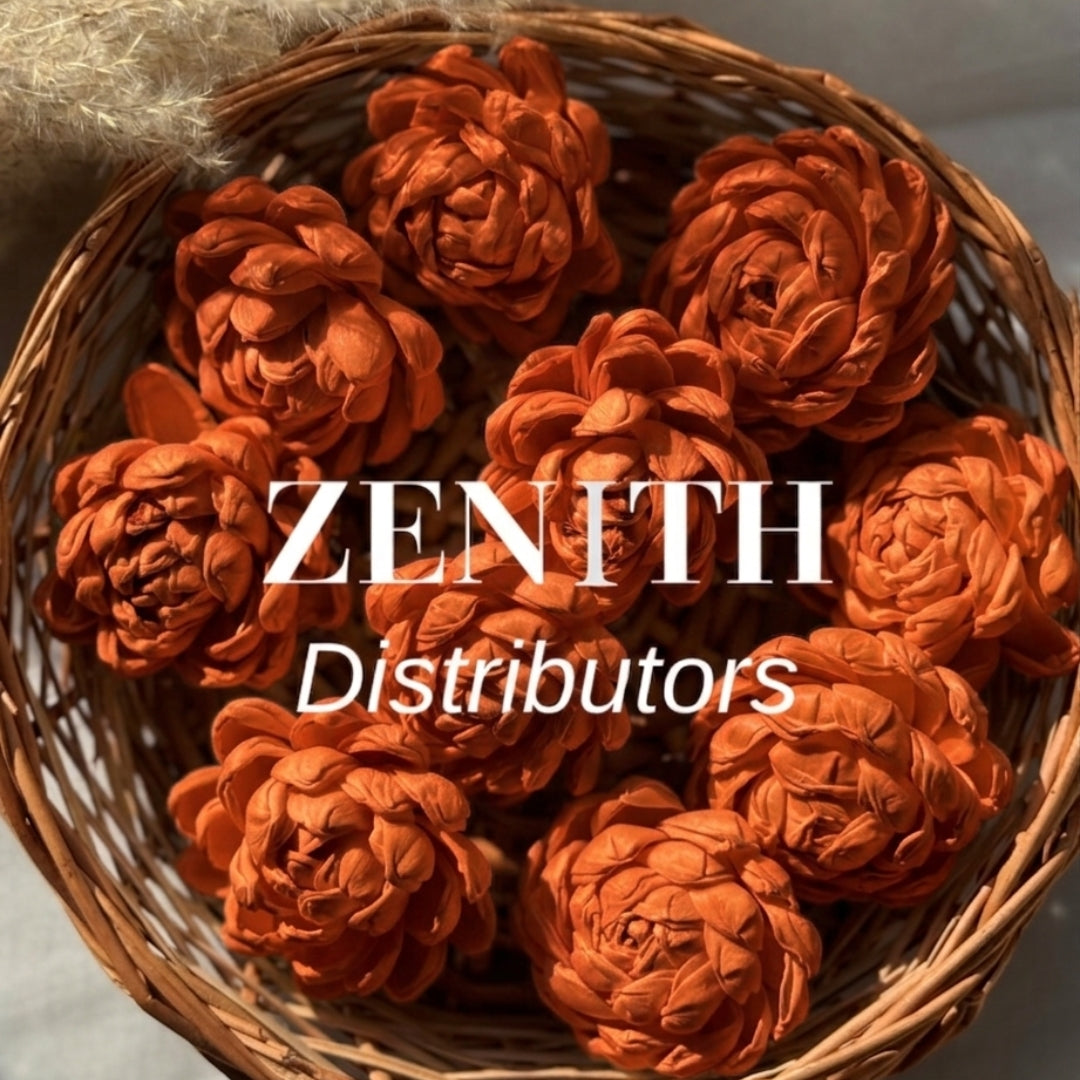 Twisted | Pack of 100 Pcs