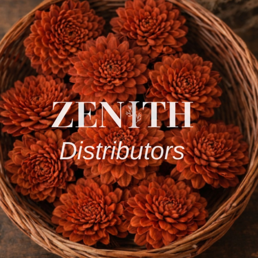 Ziniya | Pack of 100 Pcs