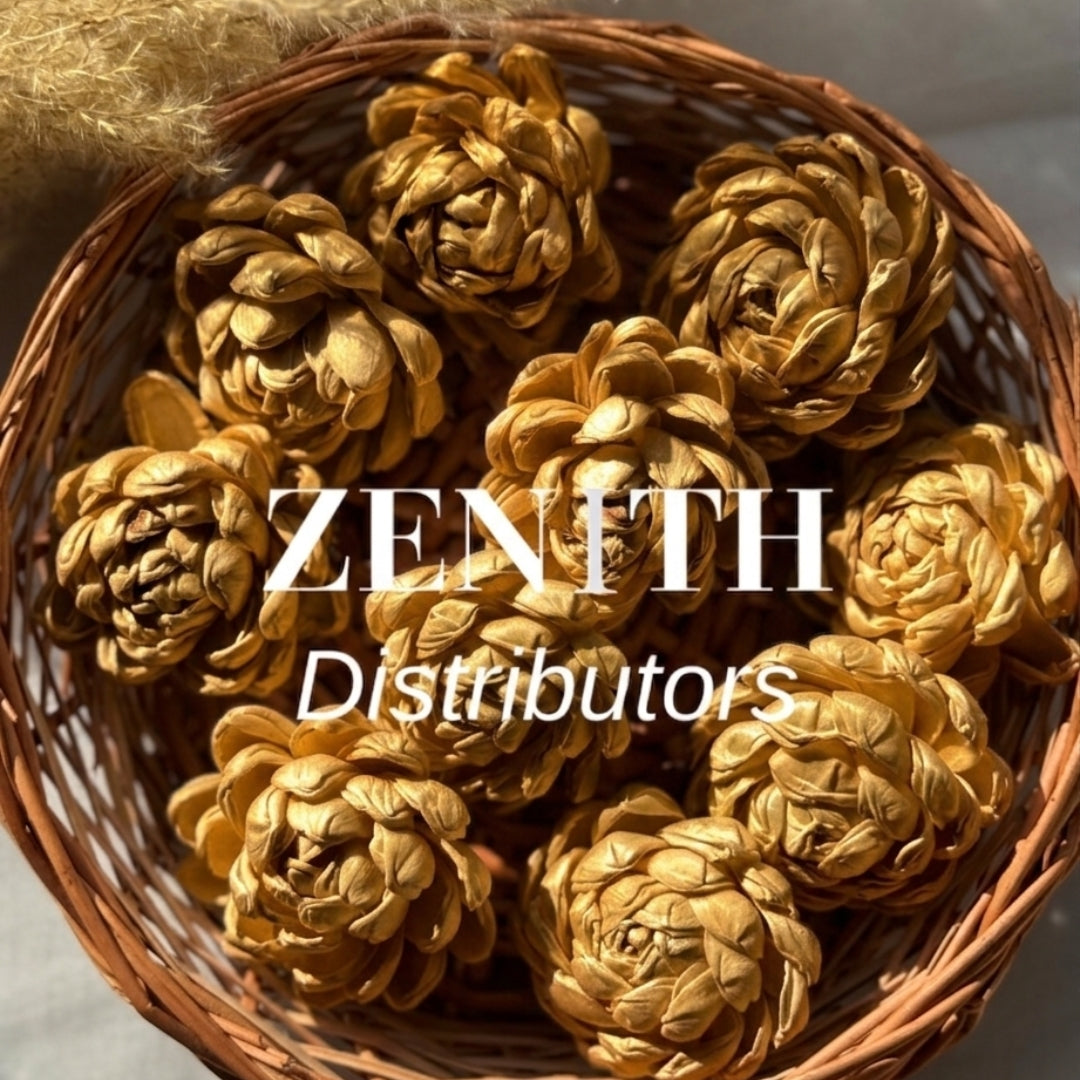 Twisted | Pack of 100 Pcs