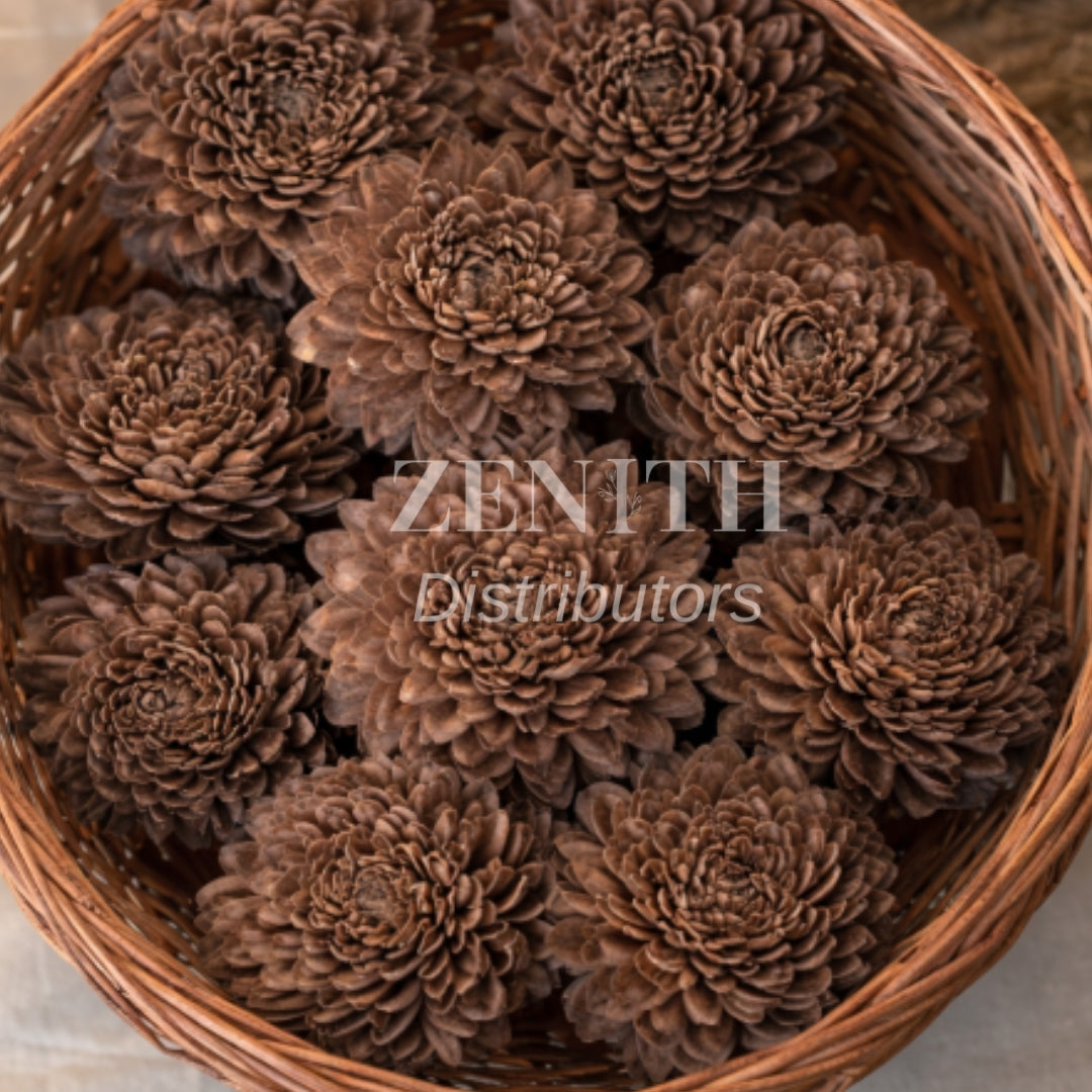 Ziniya | Pack of 100 Pcs
