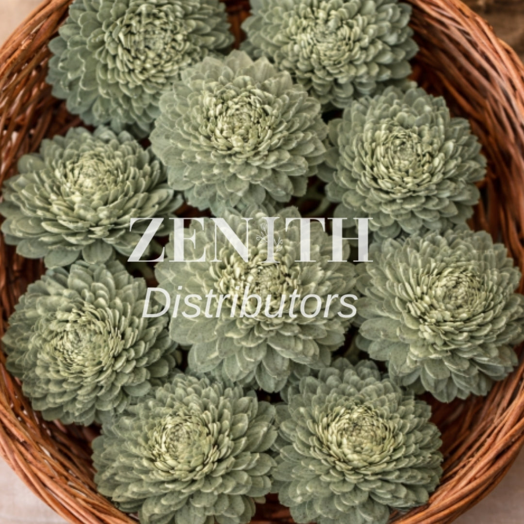 Ziniya | Pack of 100 Pcs