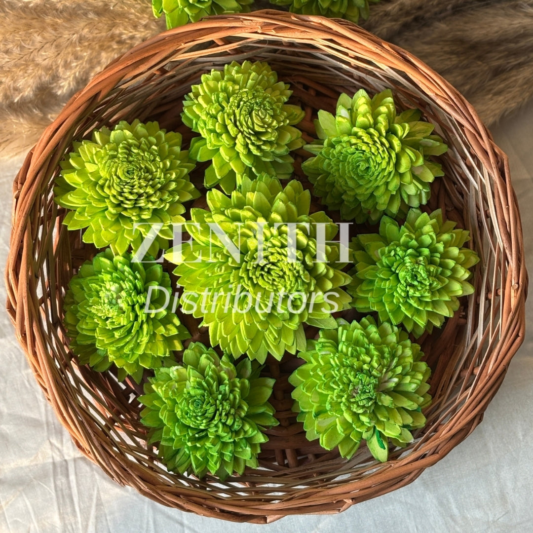 Ziniya | Pack of 100 Pcs