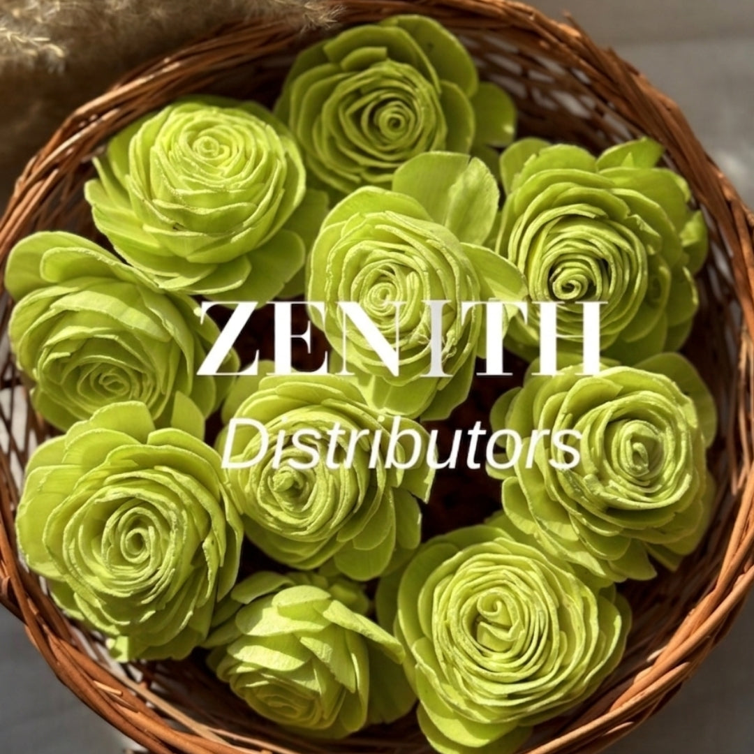 Beauty Rose | Pack of 100 Pcs
