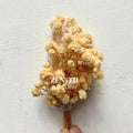 Mini Bunches- Under Rs. 10/-
