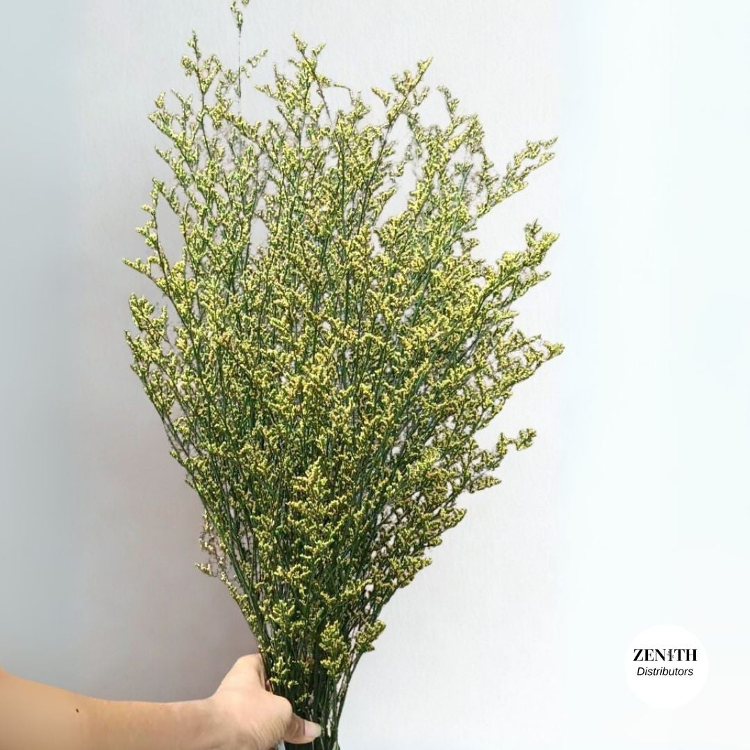 Limonium | Bunch of 100 Grams