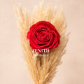 Medium Bunches- Under Rs. 65/-