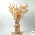 Preserved Baby's Breath | Bunch of 100 Grams