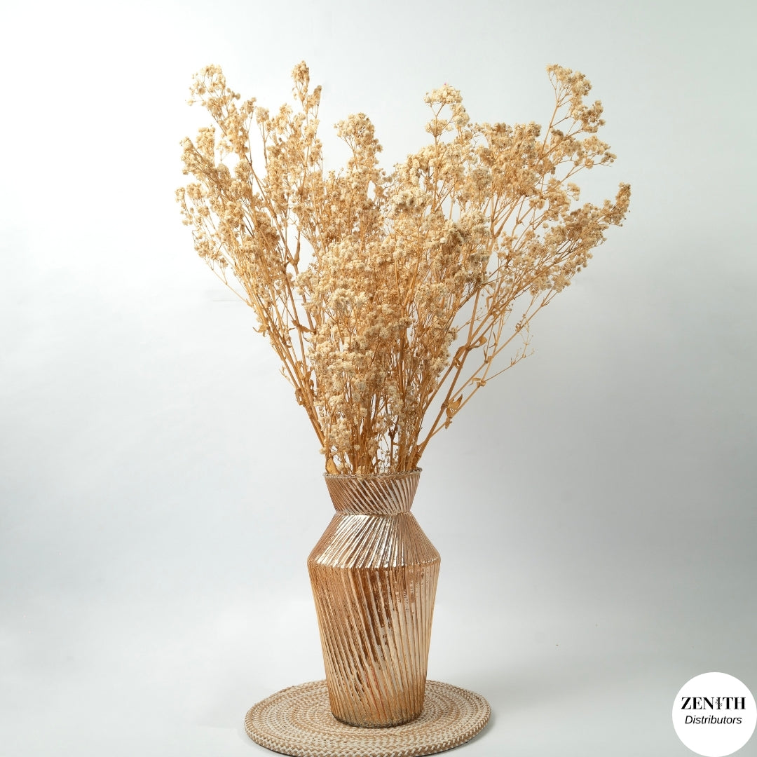 Preserved Baby's Breath | Bunch of 100 Grams