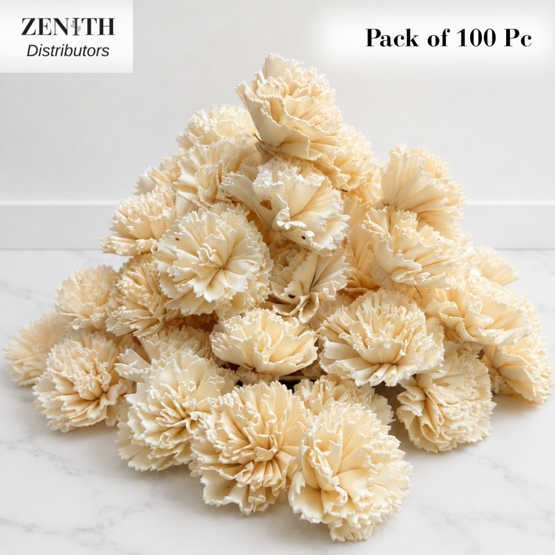 Carnation | Pack of 100 Pcs