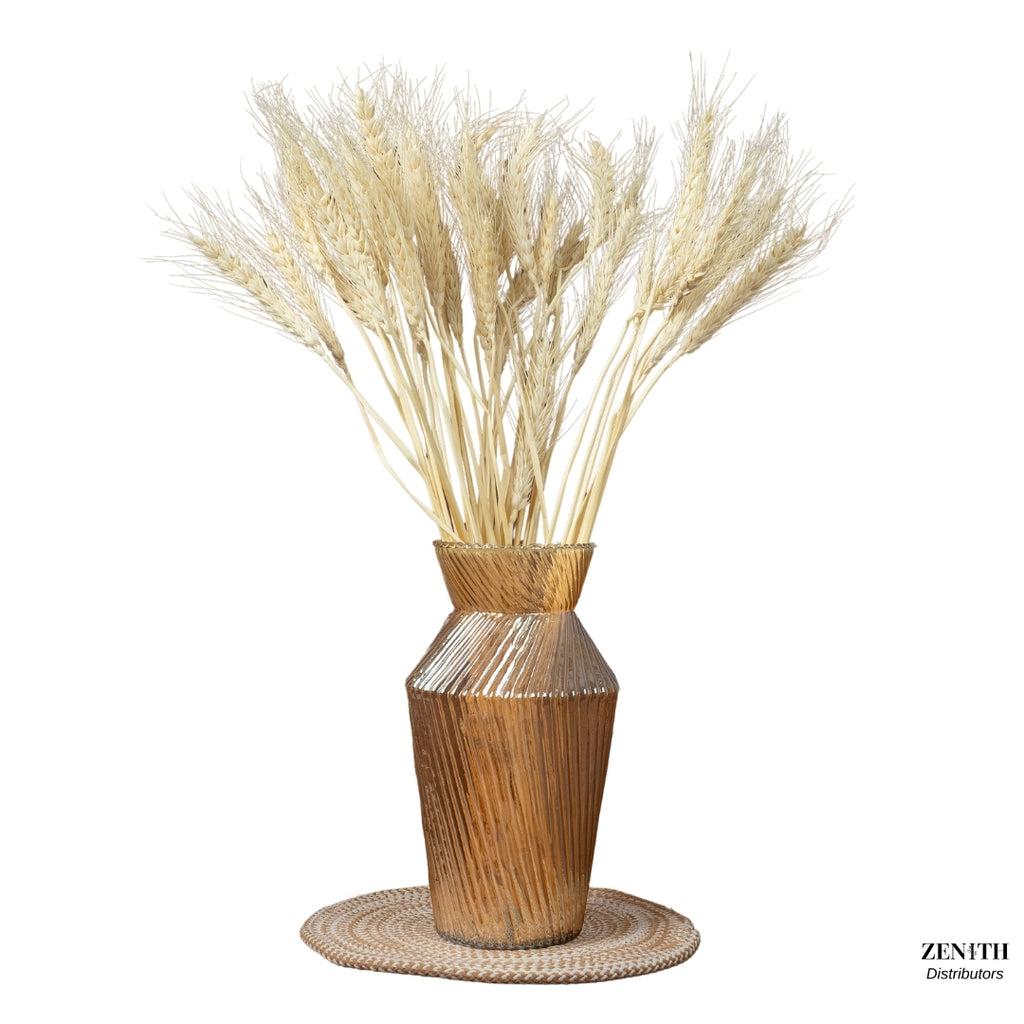 Wheat Grass | Set of 50 Sticks