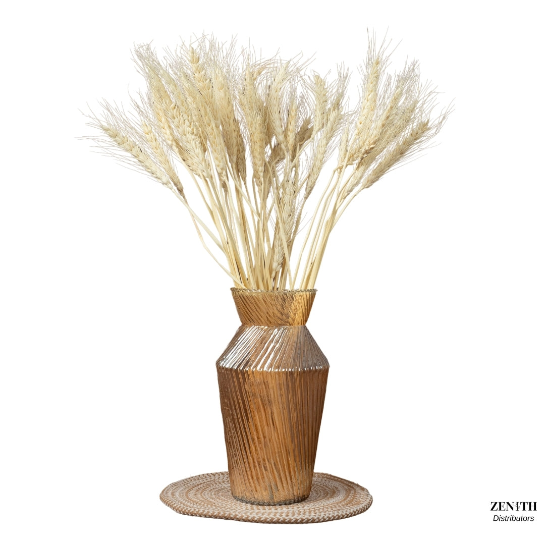Wheat Grass | Set of 50 Sticks