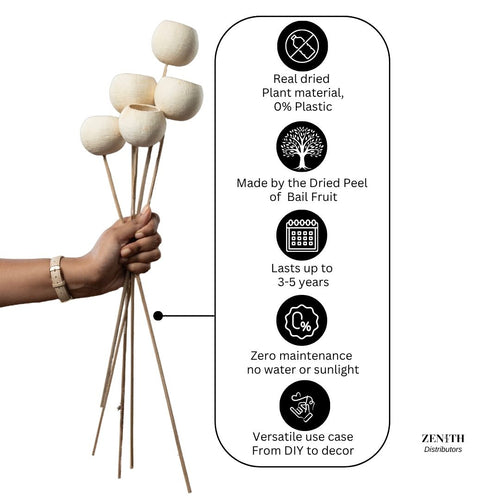Bell Cup | Pack of 10 Pcs | Without Sticks