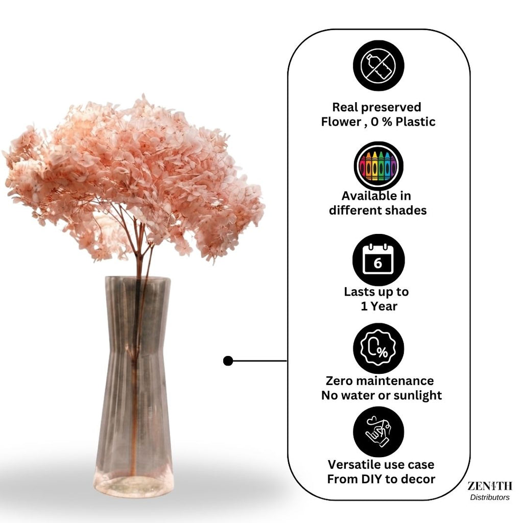 Hydrangea  | Per Bunch