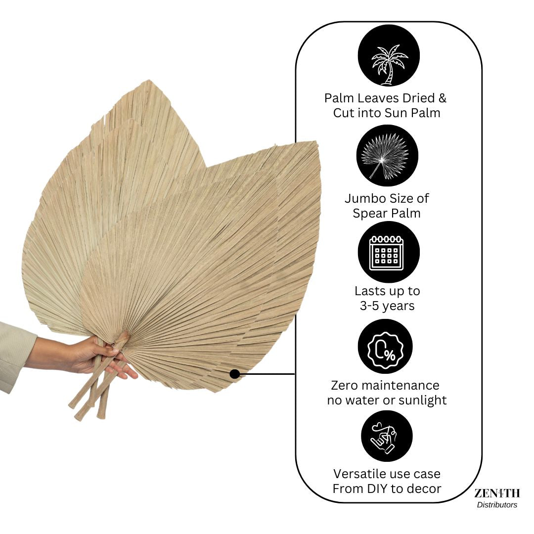 Jumbo Fan Palm | Set of 20 Sticks
