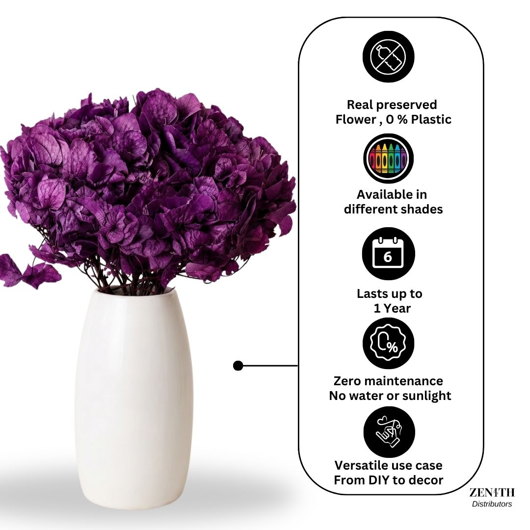 Maharaja Hydrangea | Per Bunch