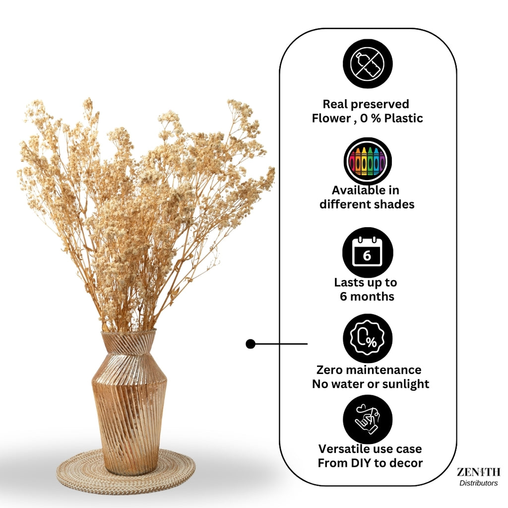 Preserved Baby's Breath | Bunch of 100 Grams