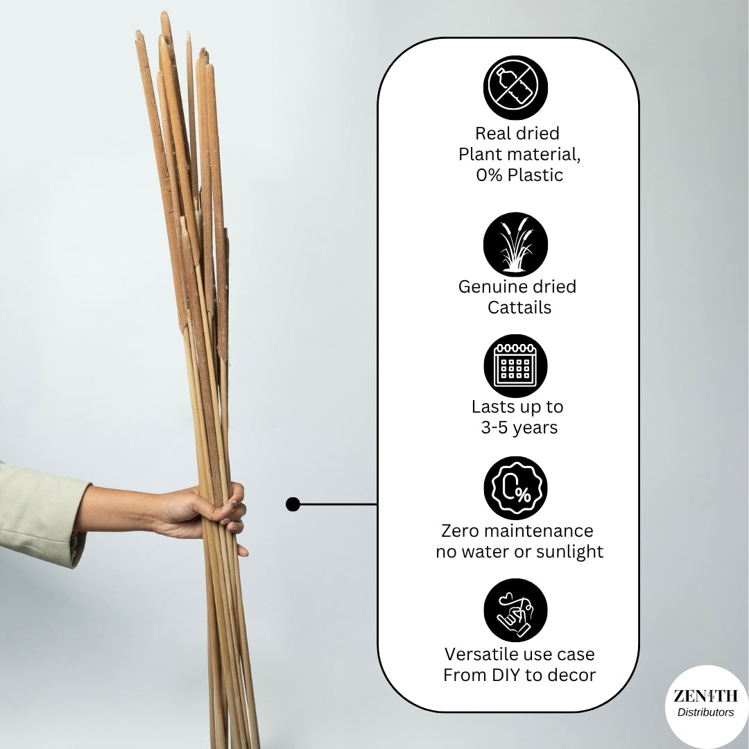 Surgham | Set of 10 Sticks