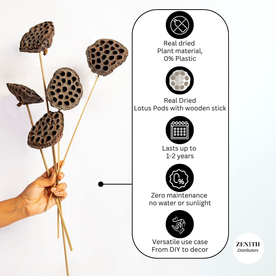 Lotus Pods | Pack of 10 Pcs | Without Sticks
