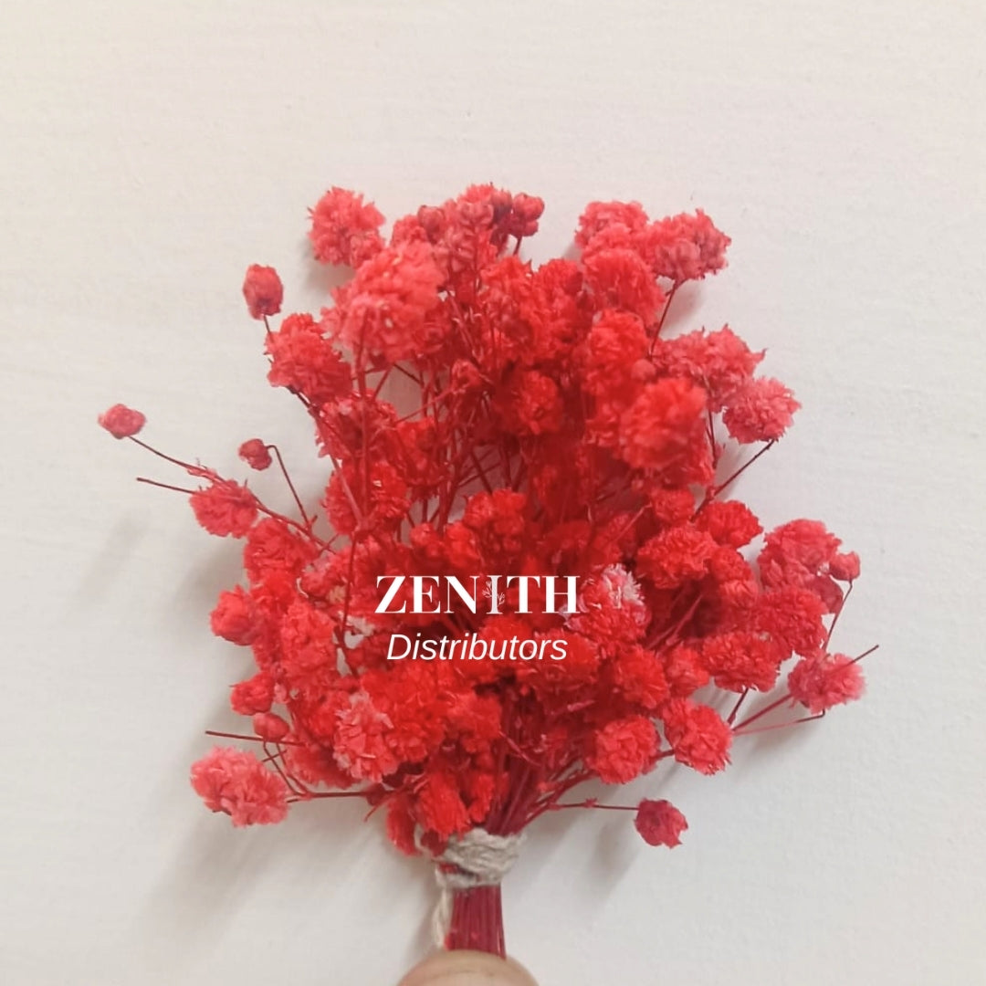 Mini Bunches | Pack of 100 Bunches | Under Rs. 10/-