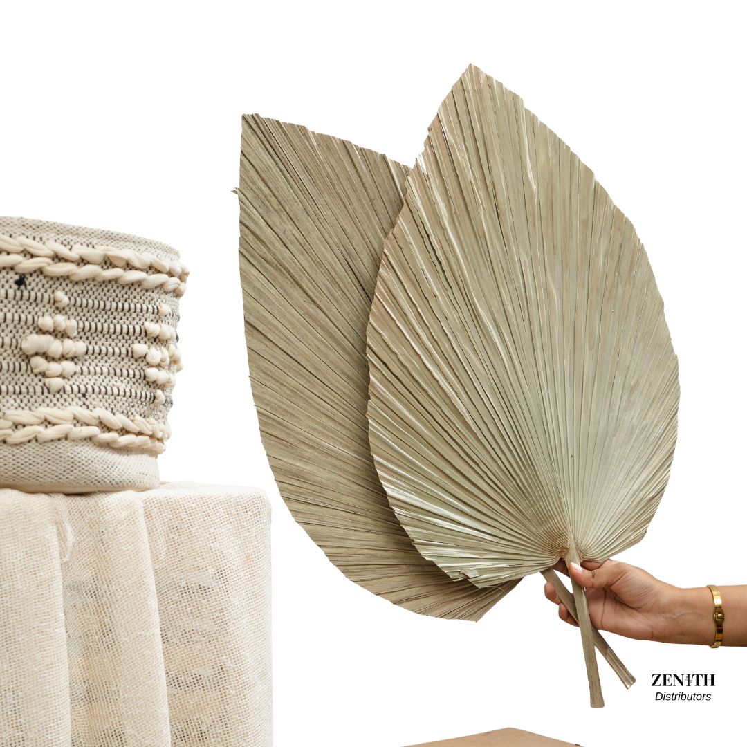 Jumbo Fan Palm | Set of 20 Sticks