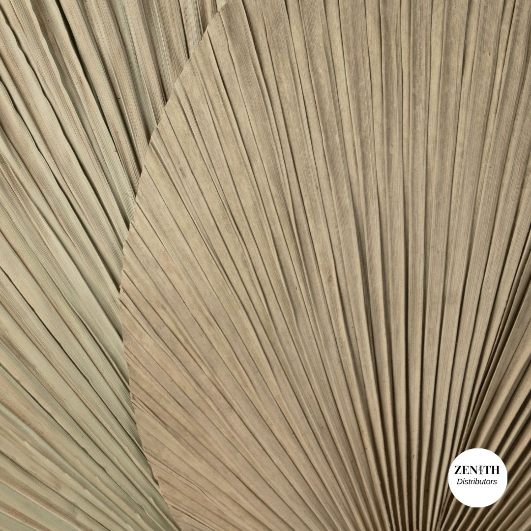 Jumbo Fan Palm | Set of 20 Sticks