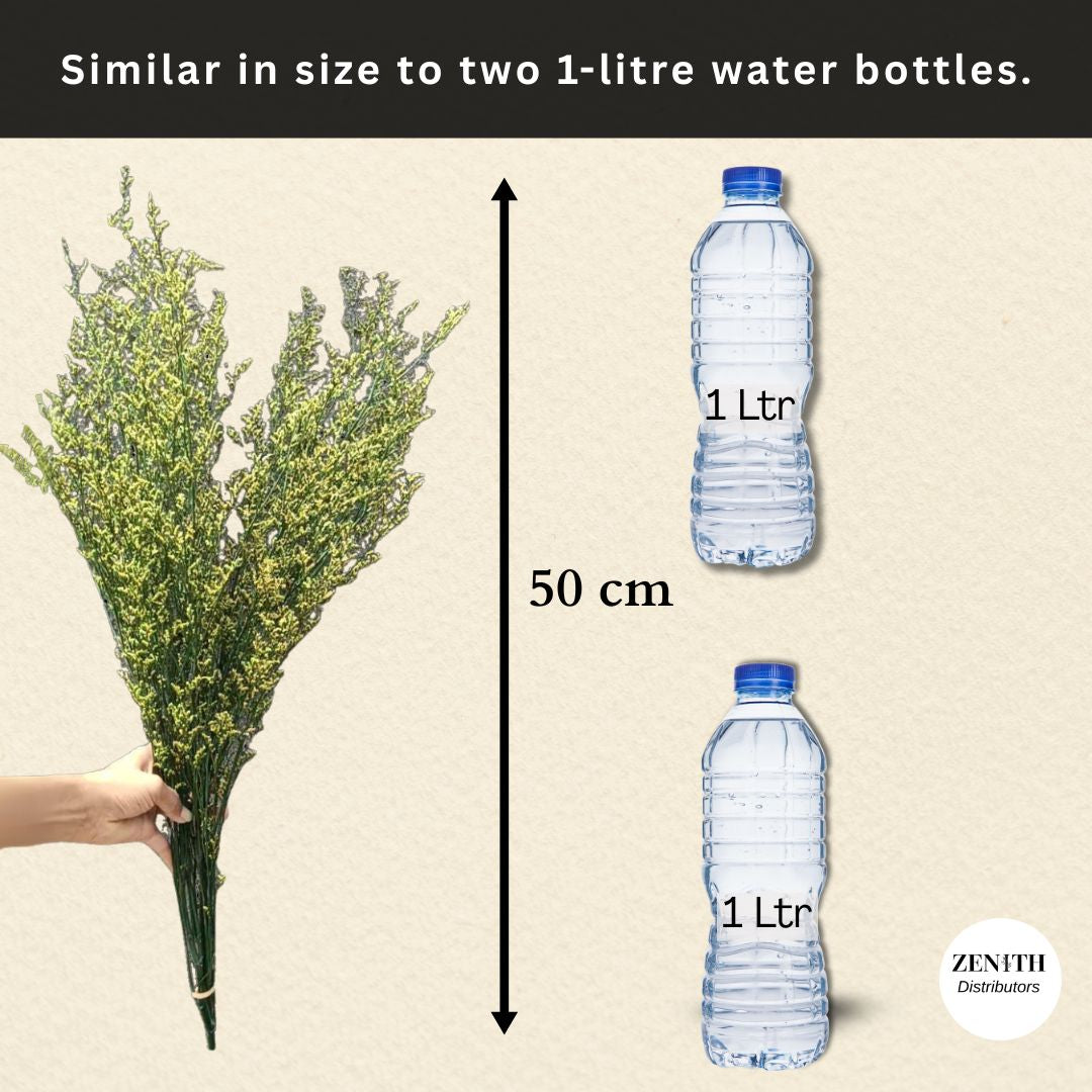 Limonium | Bunch of 100 Grams