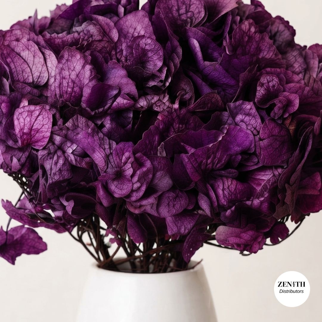 Maharaja Hydrangea | Per Bunch