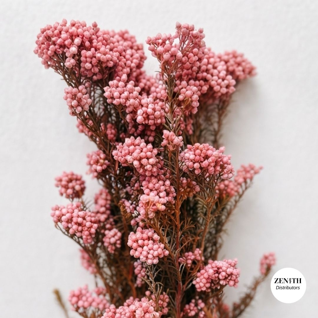 Rice Flower | Bunch of 100 Grams