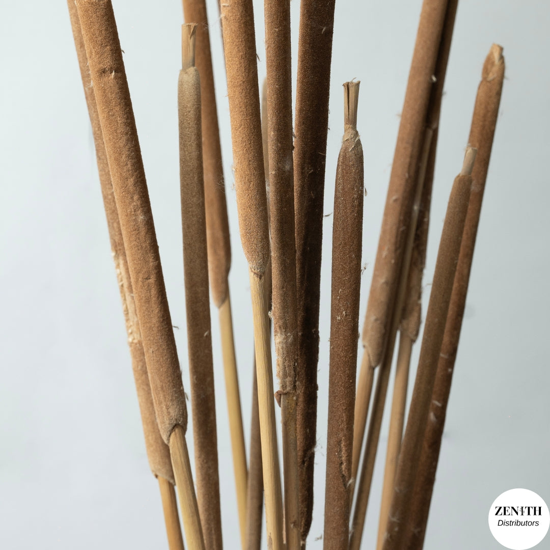 Surgham | Set of 10 Sticks