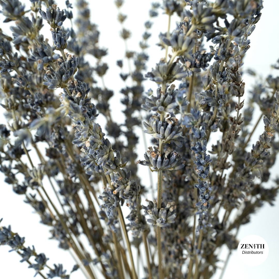 Lavender | Bunch of 50 Grams