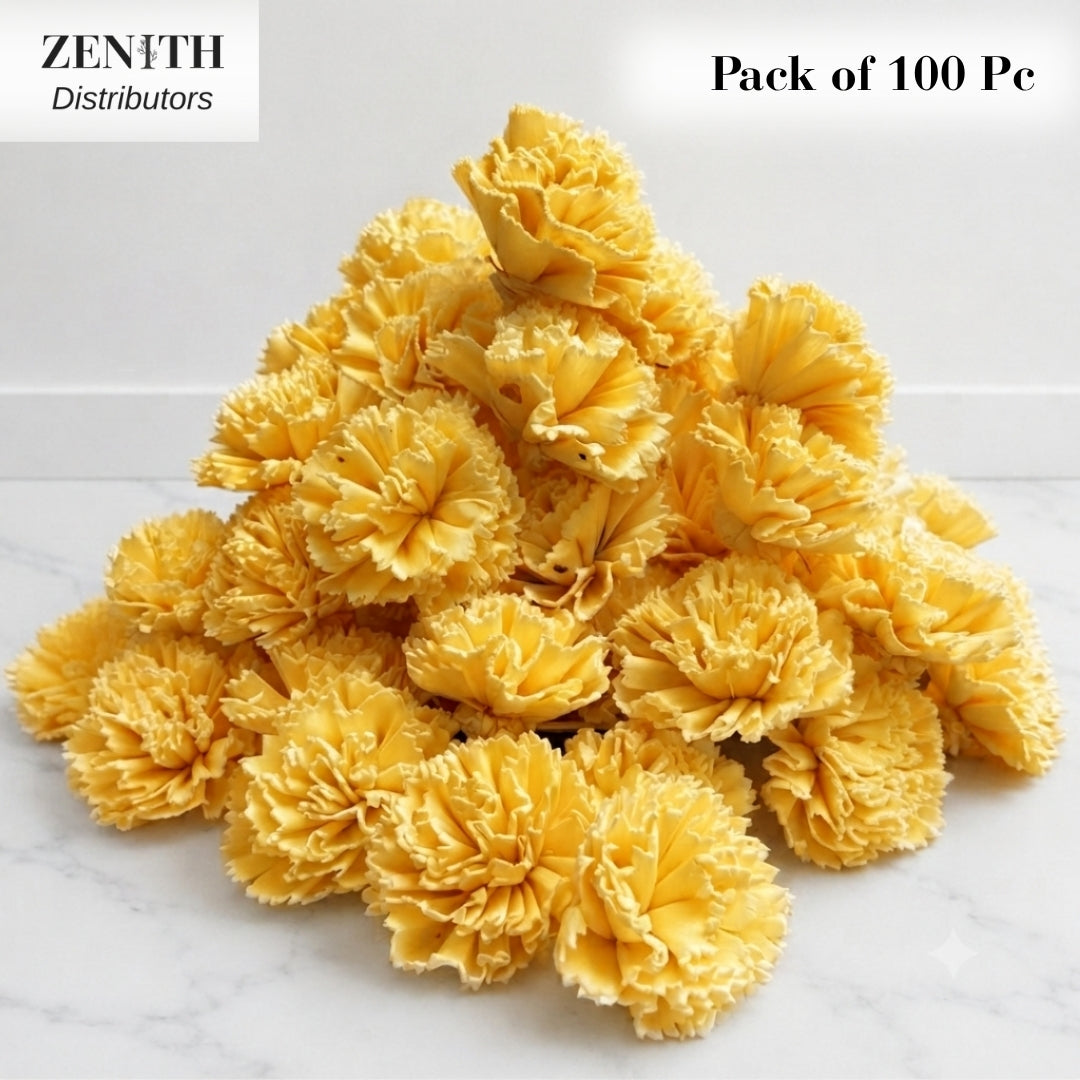 Carnation | Pack of 100 Pcs