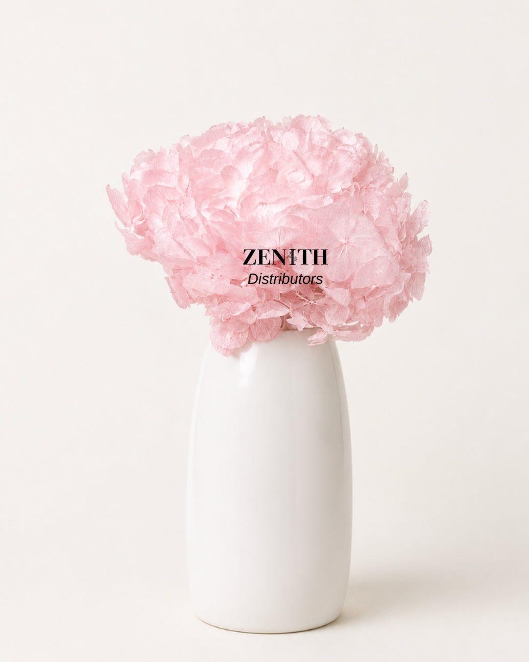 Maharaja Hydrangea
