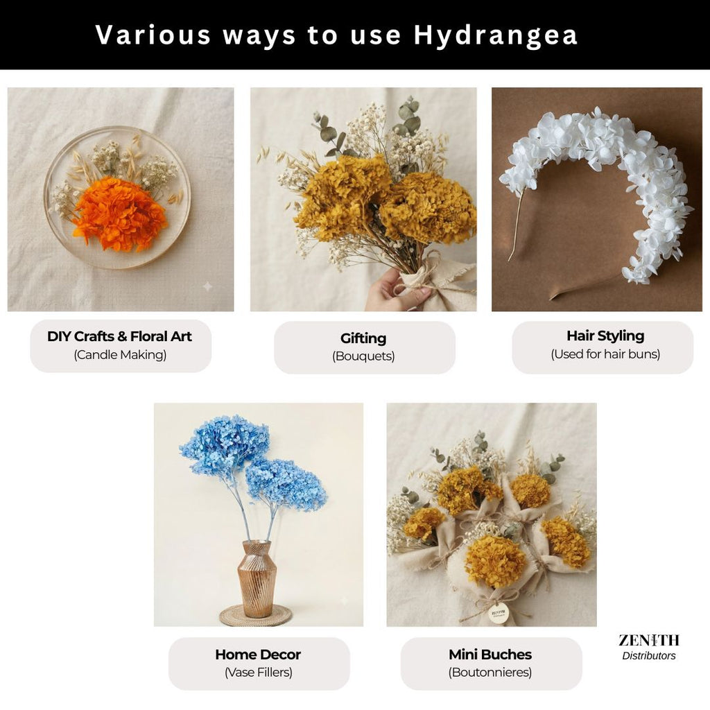Hydrangea  | Per Bunch