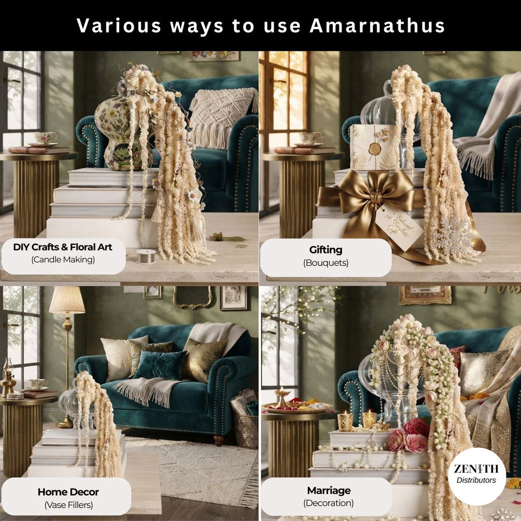 Amarnathus | Per Bunch
