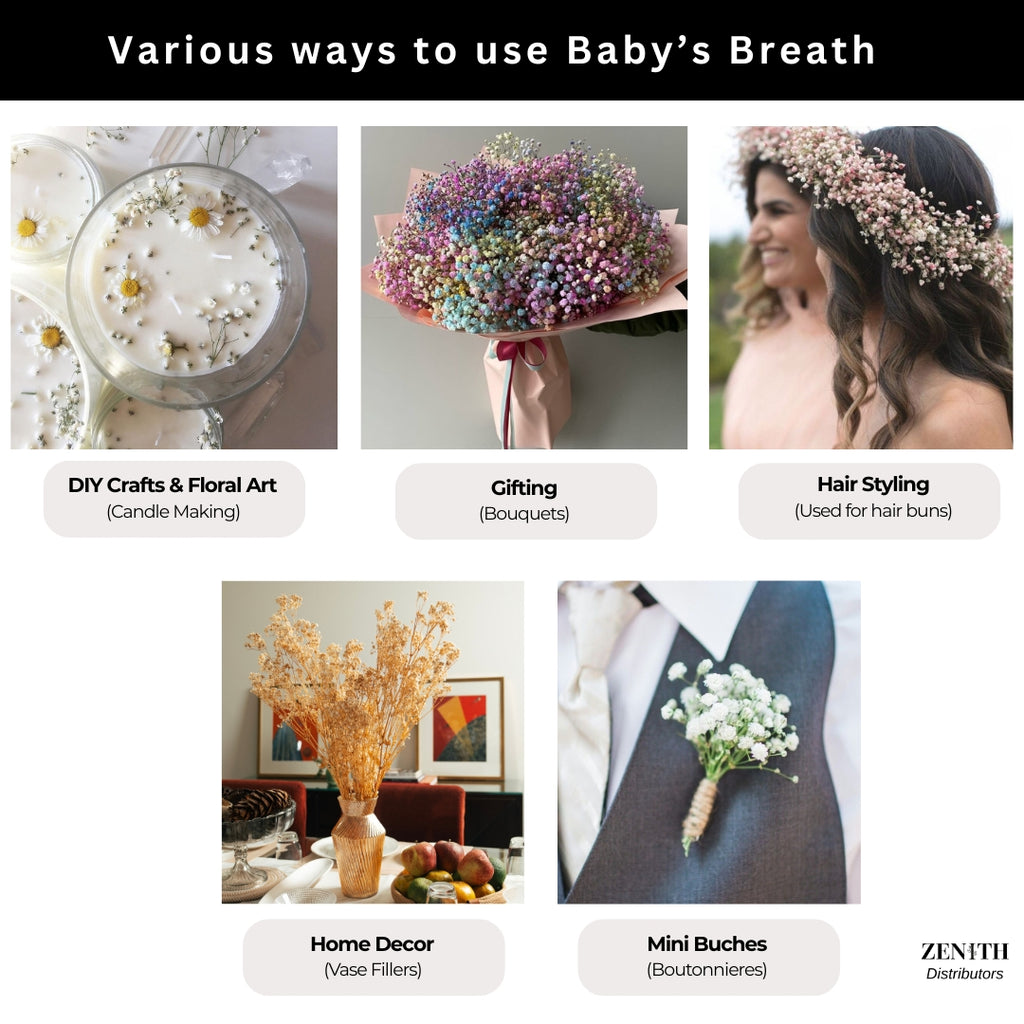 Preserved Baby's Breath | Bunch of 100 Grams