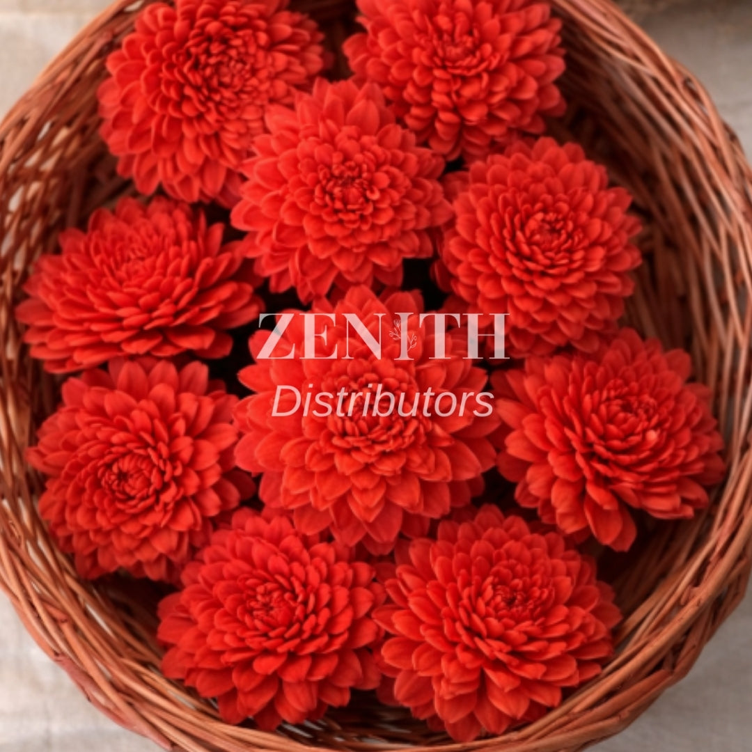 Ziniya | Pack of 100 Pcs