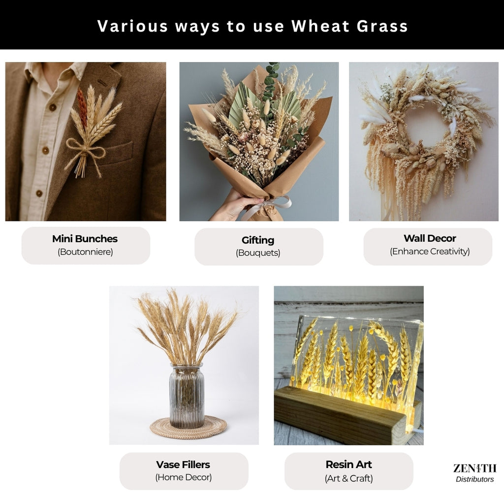 Wheat Grass | Set of 50 Sticks