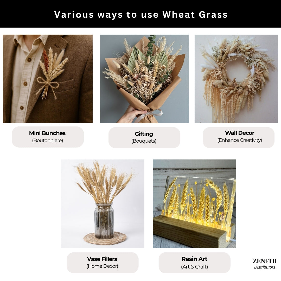 Wheat Grass | Set of 50 Sticks