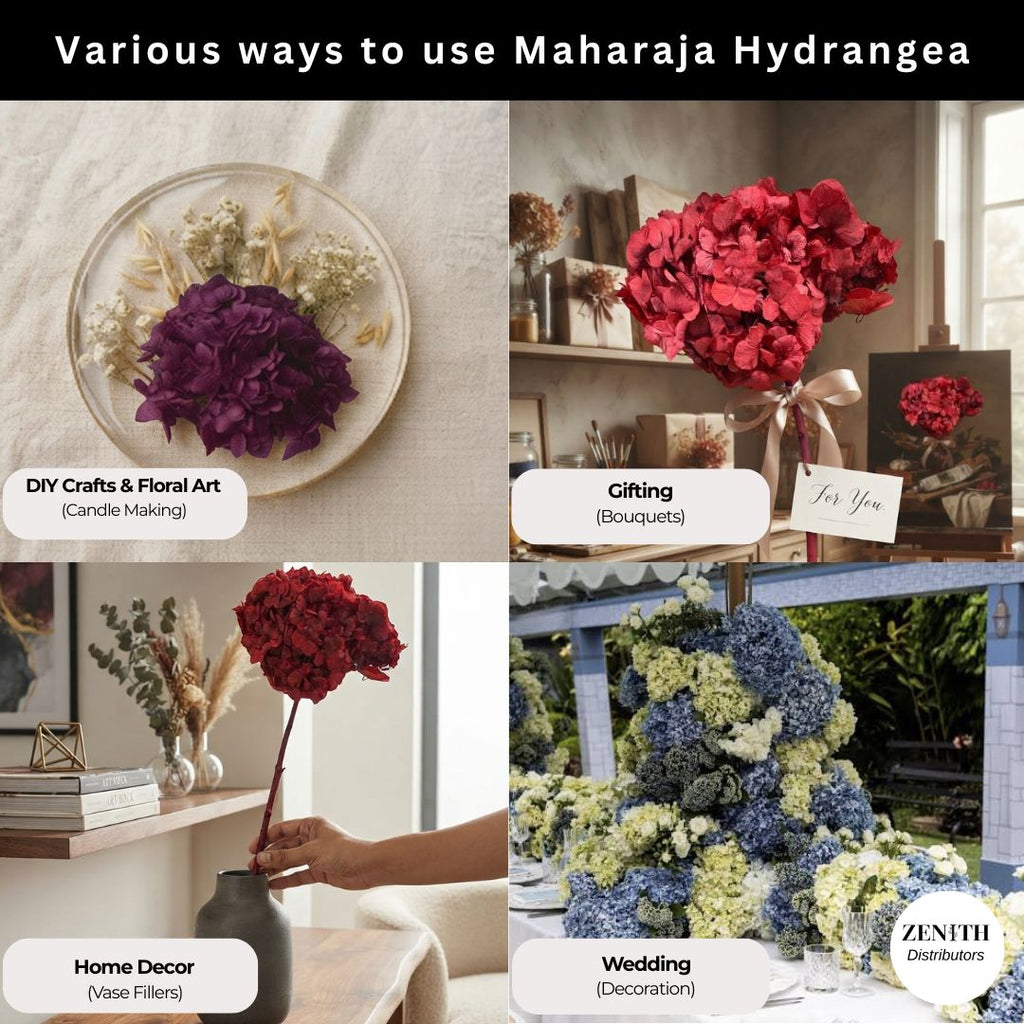 Maharaja Hydrangea | Per Bunch