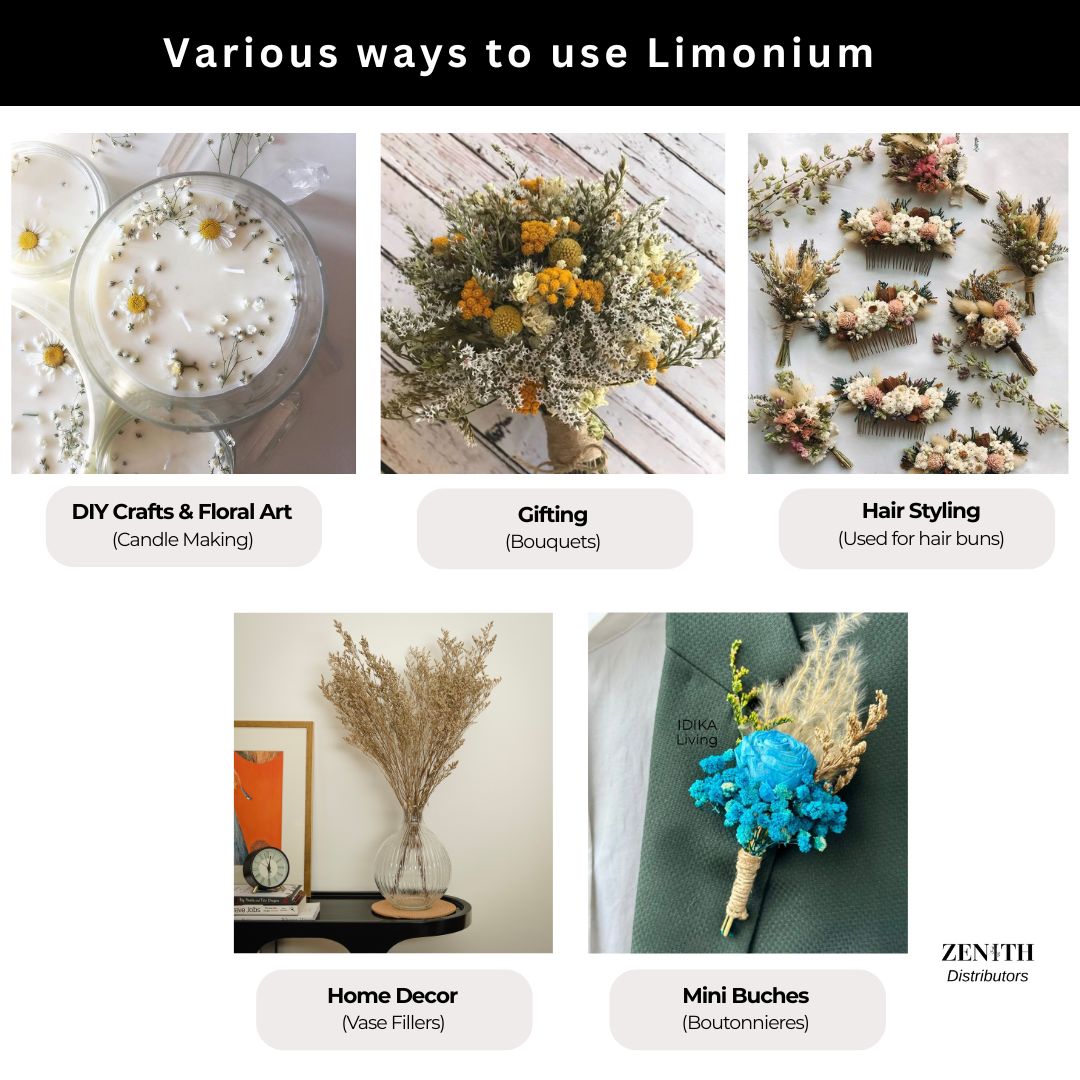 Limonium | Bunch of 100 Grams