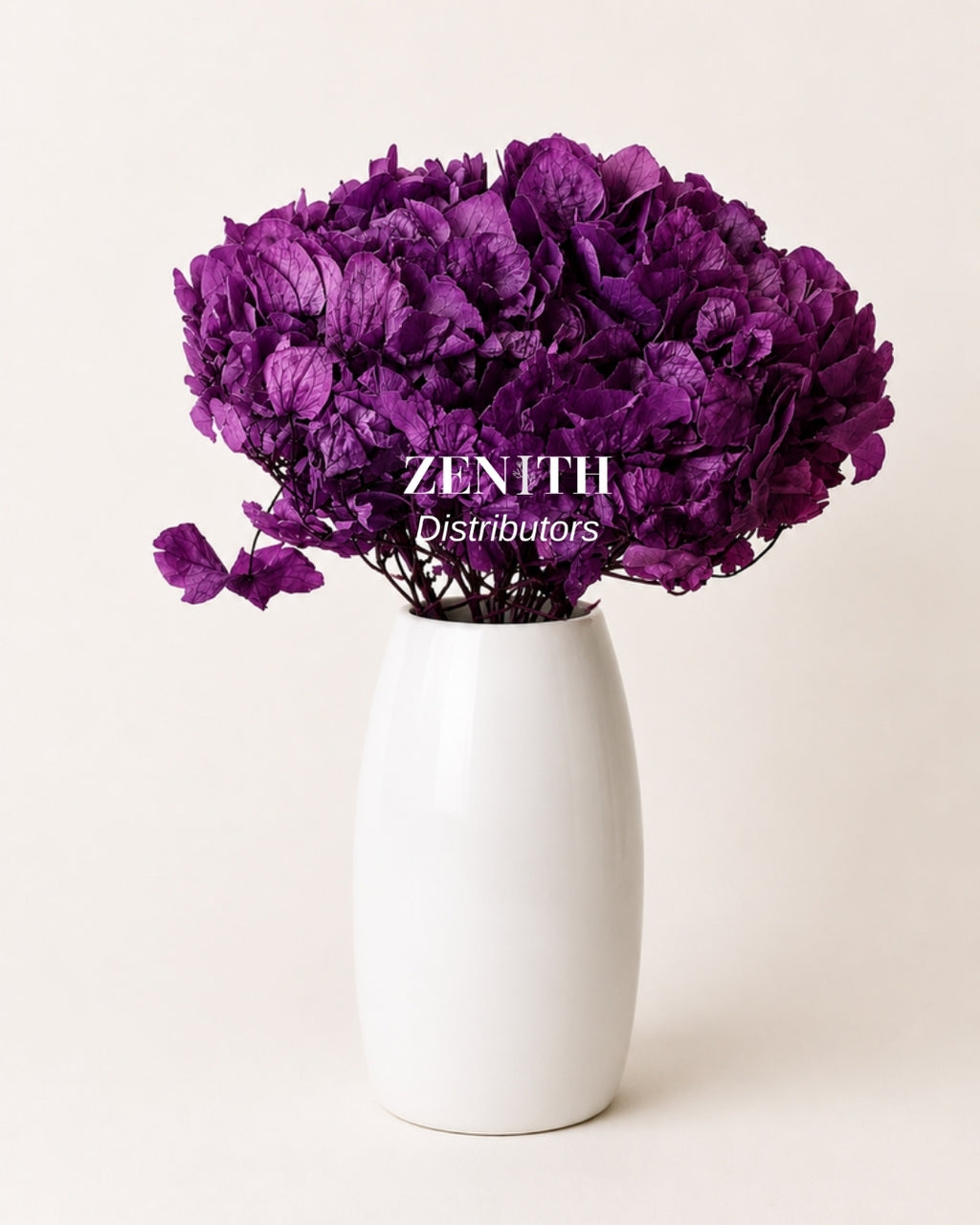 Maharaja Hydrangea | Per Bunch