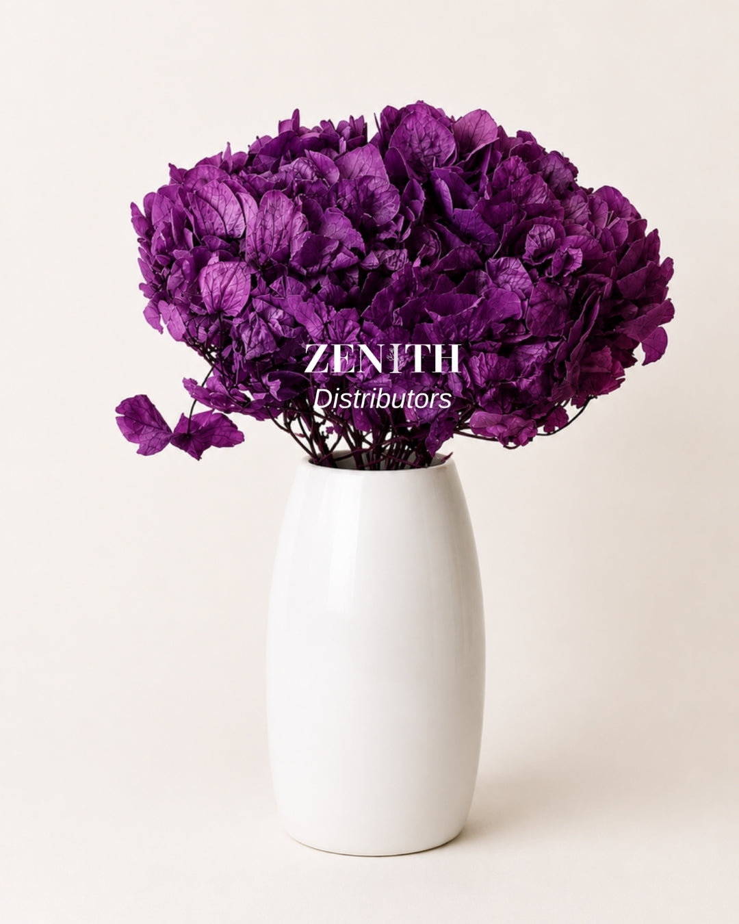 Maharaja Hydrangea