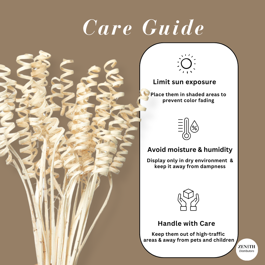 Cane Spring | Set of 20 Sticks